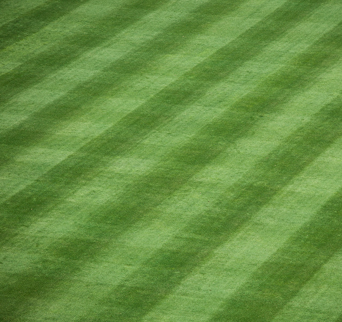 Baseball Field Grass